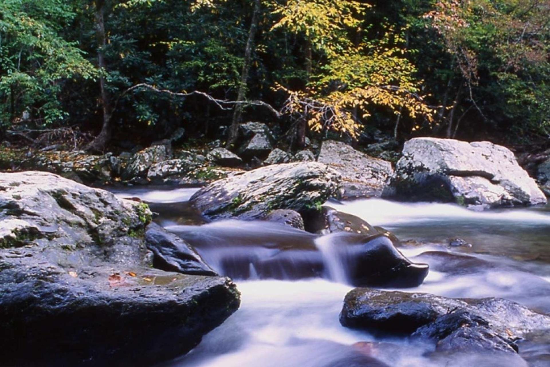 Hidden Hollow Pigeon Forge Exteriér fotografie
