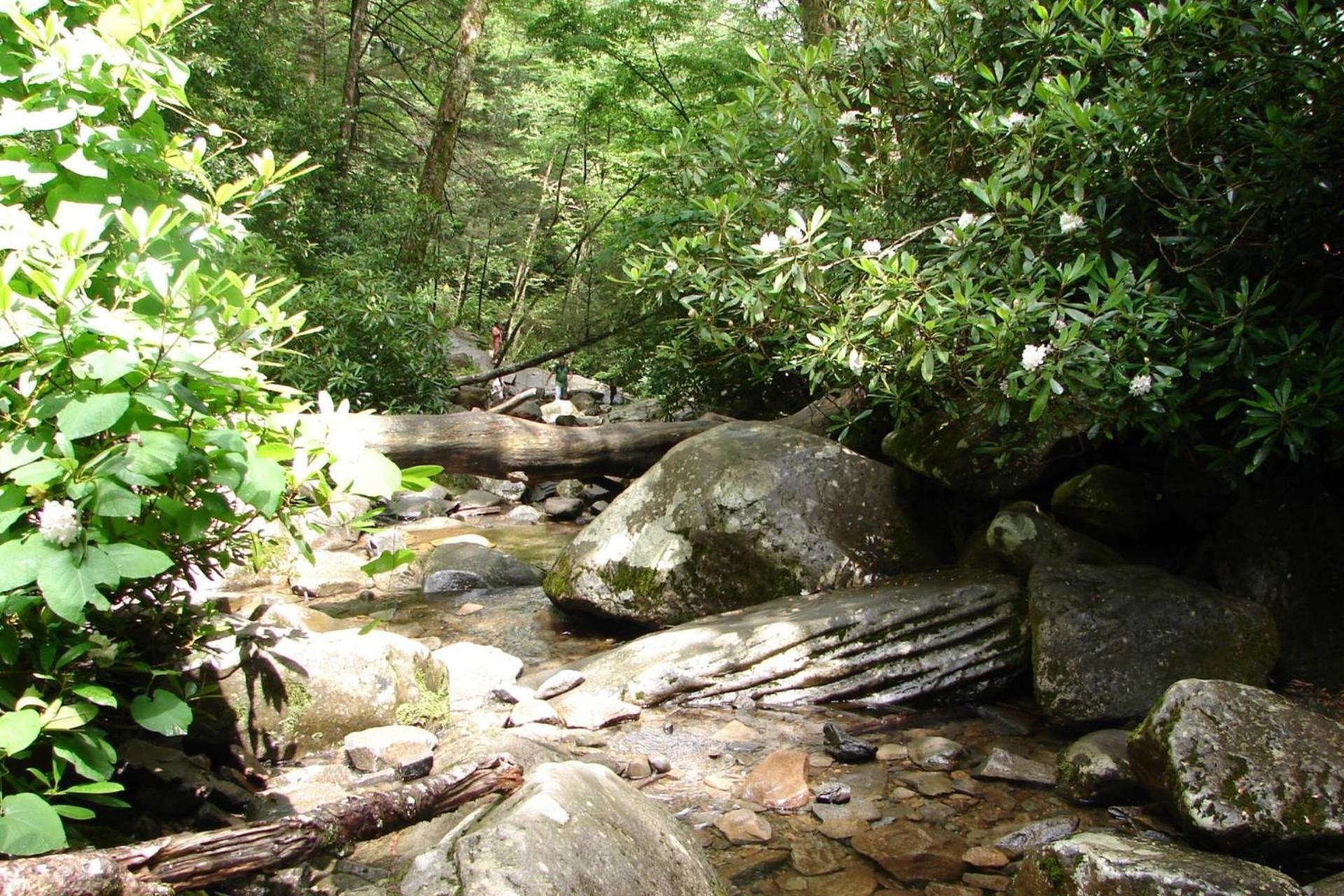 Hidden Hollow Pigeon Forge Exteriér fotografie